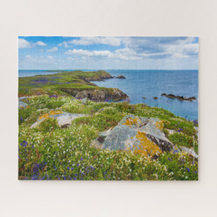 Puzzle Irlanda, Saltee Islands,