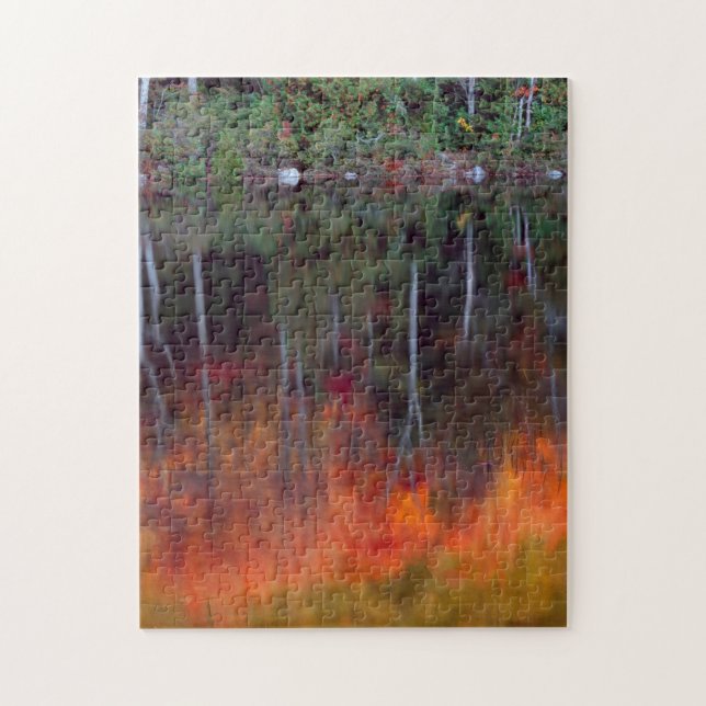 Puzzle Isla del Monte Desert | Parque Nacional Acadia, Ma (Vertical)
