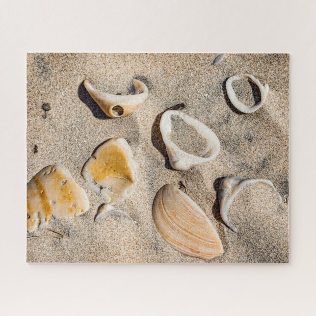 Puzzle Isla del Padre del Sur, arena y conchas (Horizontal)