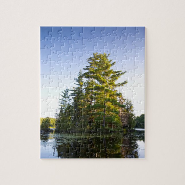 Puzzle Isla en el lago Long Pond (Vertical)