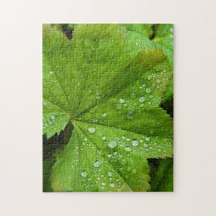 Puzzle Islandia. Región Sur. Gullfoss