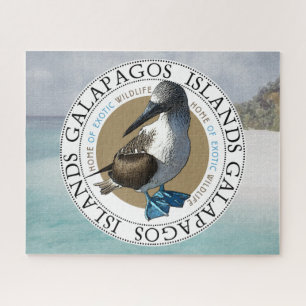 Puzzle Islas Galápagos: Pájaro azul pisoteado