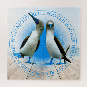 Puzzle Islas Galápagos: Pájaros azules con pies de bóveda