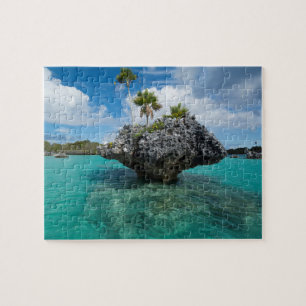 Puzzle Islotes de Hongos en Fiji