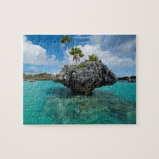 Puzzle Islotes de Hongos en Fiji (Horizontal)