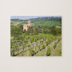 Puzzle Italia, Bolonia, Vista a través de la viña a Chies