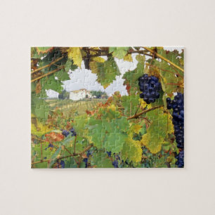 Puzzle Italia, granja de Toscana vista a través de