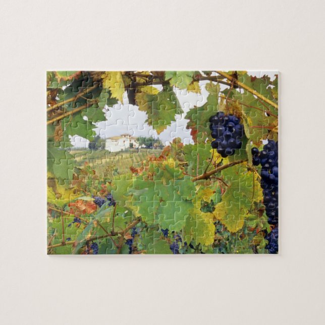Puzzle Italia, granja de Toscana vista a través de (Horizontal)