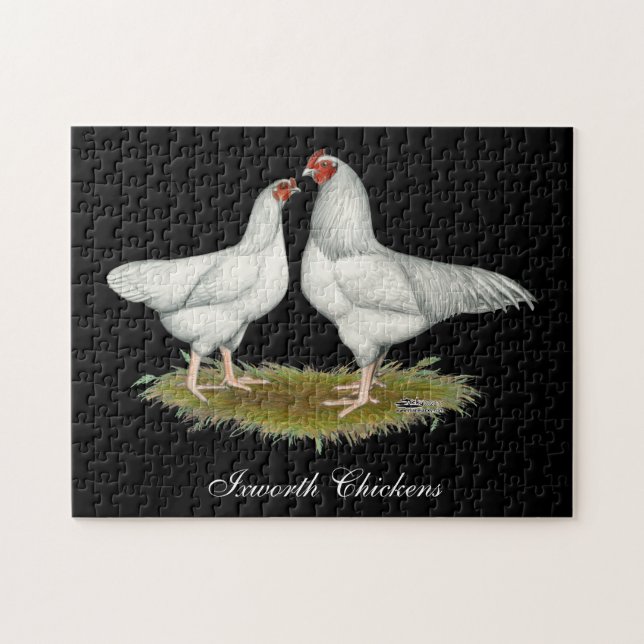 Puzzle Ixworth Chickens (Horizontal)