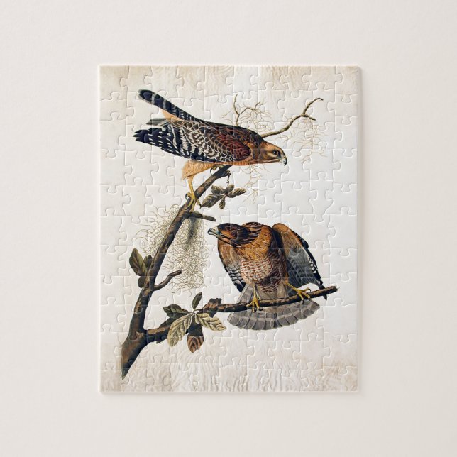 Puzzle J.J. Audubon (halcón llevado a hombros rojo) (Vertical)