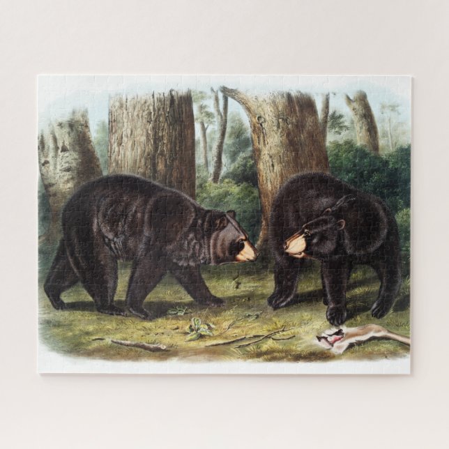 Puzzle J.W. Audubon - Oso Negro Ursus Americanus (Horizontal)