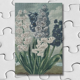 Puzzle Jacintos (1807) – Exquisito Botánico Vintage