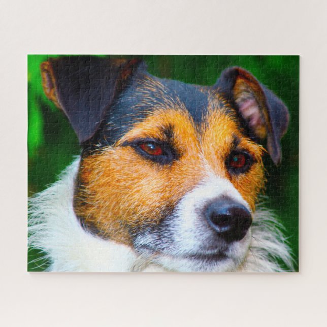 Puzzle Jack Russell Dog. (Horizontal)