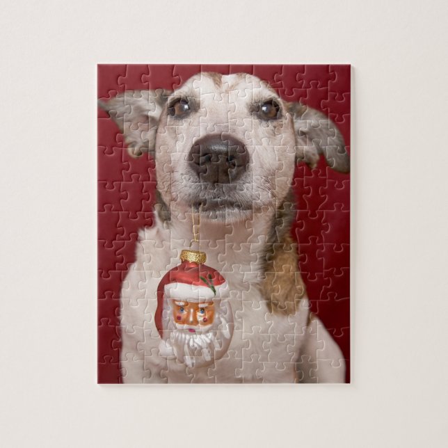 Puzzle Jack Russell Terrier que sostiene el ornamento del (Vertical)