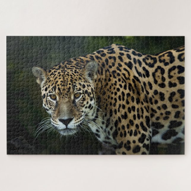 Puzzle Jaguar (Horizontal)