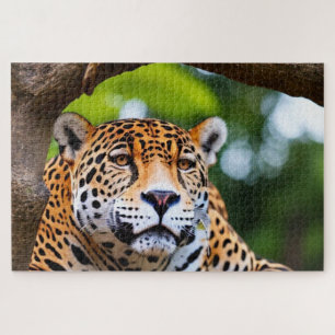Puzzle Jaguar En Un Árbol