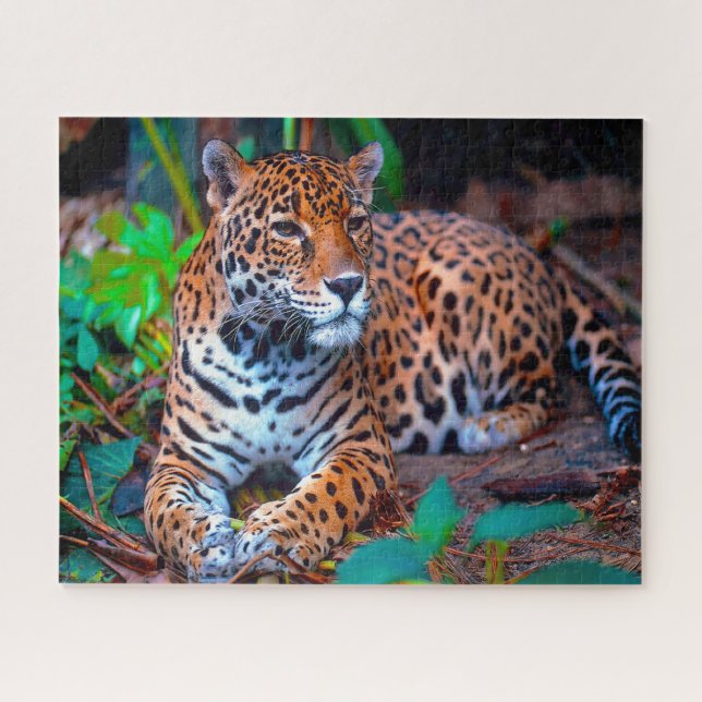 Puzzle Jaguar Grandes Gatos. (Horizontal)