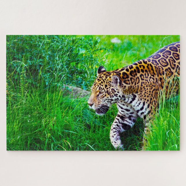 Puzzle Jaguar Grandes Gatos. (Horizontal)