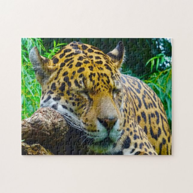 Puzzle Jaguar Grandes Gatos. (Horizontal)