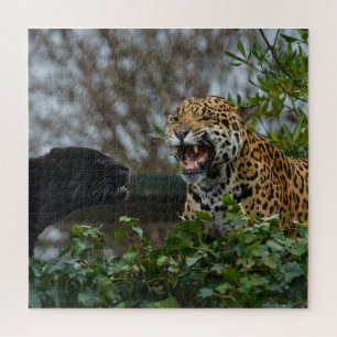 Puzzle Jaguar Growl