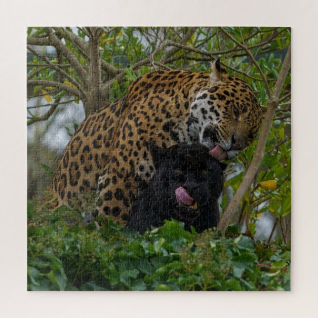 Puzzle Jaguares enamorados (Vertical)