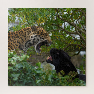 Puzzle Jaguares enamorados