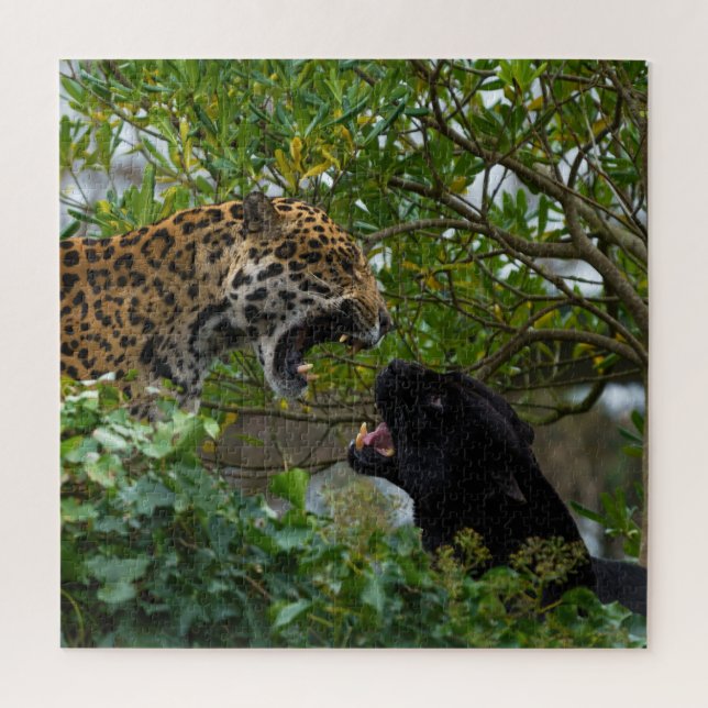Puzzle Jaguares enamorados (Vertical)