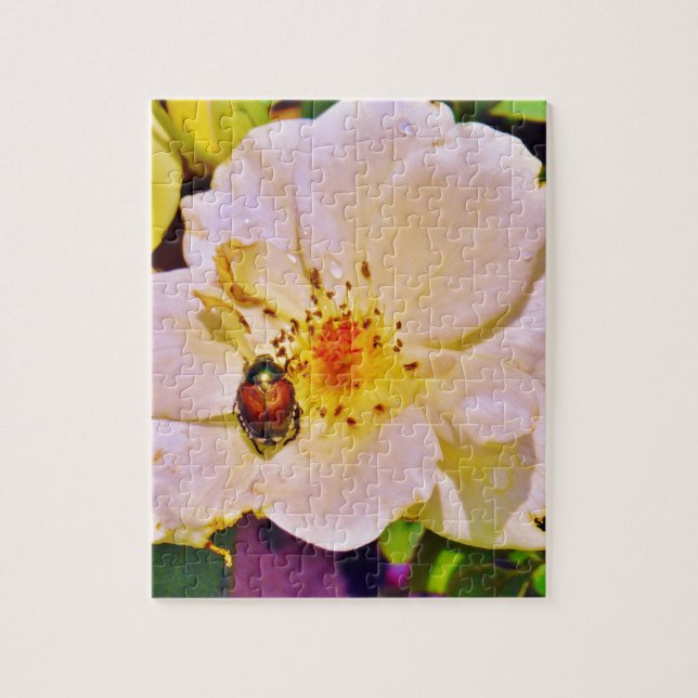 Puzzle Japanese Beetle on White  Rose (Vertical)