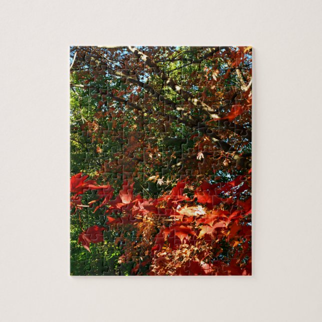 Puzzle Japanese Maple, Autumn tree leaves (Vertical)