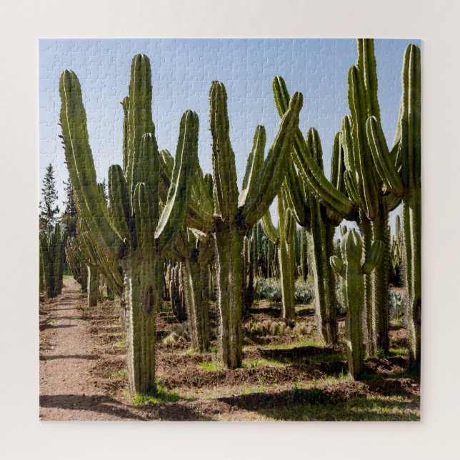 Puzzle Jardín Cacti, paisaje tropical del desierto. (Vertical)