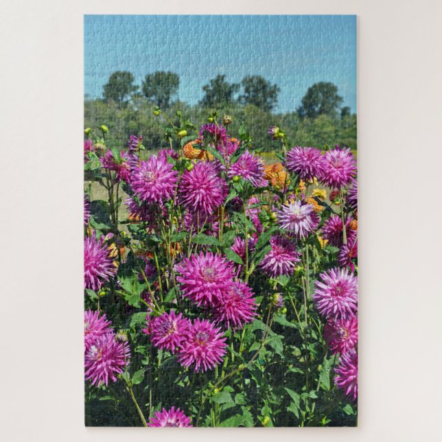 Puzzle Jardín de dahlia morada (Vertical)