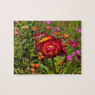Puzzle Jardín de flores