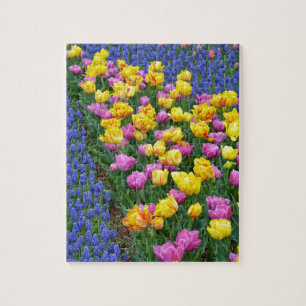 Puzzle Jardín de flores de tulipanes y azules