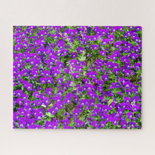 Puzzle Jardín de flores moradas (*Desafiante)
