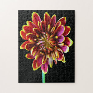 Puzzle Jardín de flores Verano Dahlia Bouquet