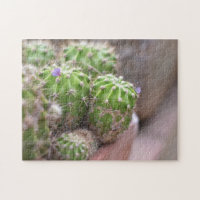 Jardín de fotografía de la naturaleza de las flore