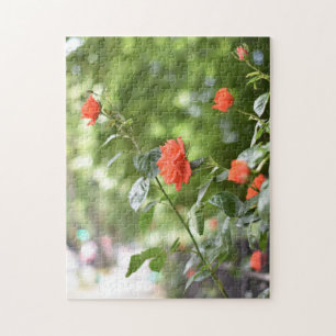 Puzzle Jardín de la naturaleza de las flores de las rosas