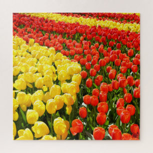 Puzzle Jardín de Tulip