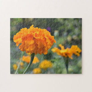 Puzzle Jardín fotográfico de la naturaleza de la flor del