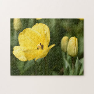 Puzzle Jardín fotográfico de la naturaleza de las flores
