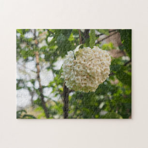 Puzzle Jardín fotográfico de la naturaleza de las flores 
