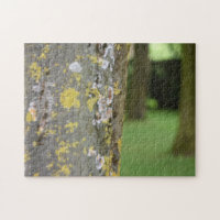 Jardín fotográfico de la naturaleza Mossy Tree Woo
