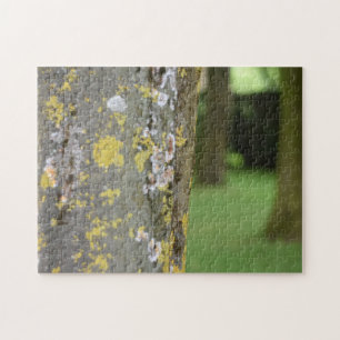 Puzzle Jardín fotográfico de la naturaleza Mossy Tree Woo