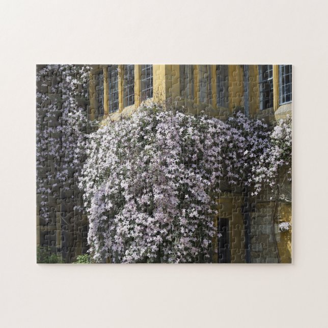 Puzzle Jardín Hidcote Manor Gloucestershire (Horizontal)