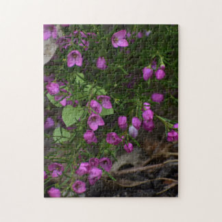 Puzzle Jardín Púrpura – Una Flor en Foco