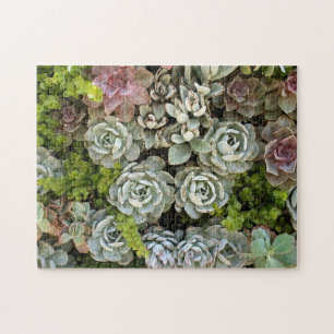Puzzle Jardín suculento 1
