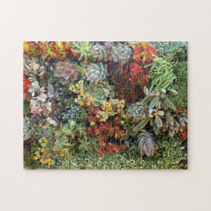 Puzzle Jardín suculento 2