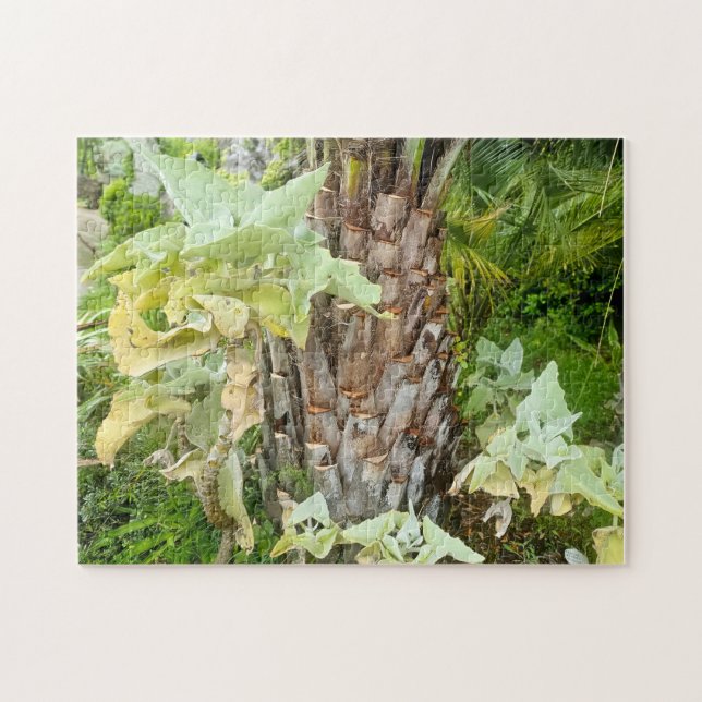 Puzzle Jardines Mortella, Ischia, Italia (Horizontal)