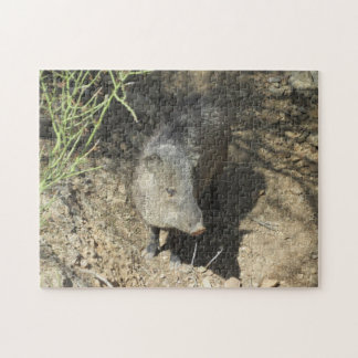 Puzzle Javelina