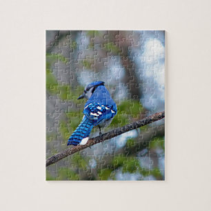 Puzzle Jay azul